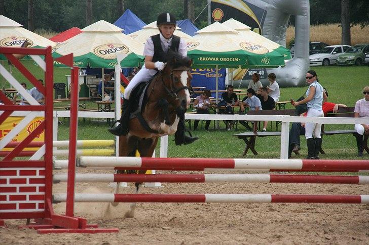 Anden særlig race Storm(pony jeg red) - juhuuu billede 5