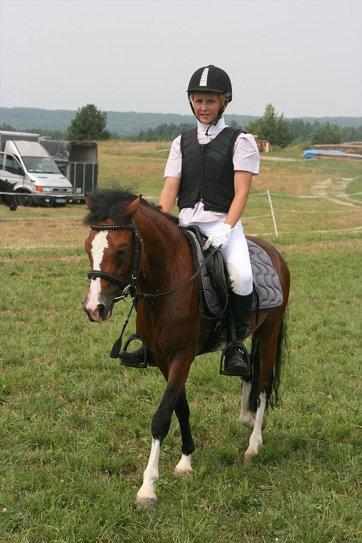 Anden særlig race Storm(pony jeg red) - Søde Storm billede 7