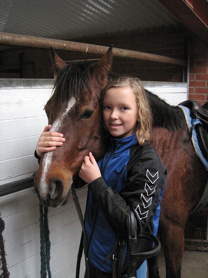 DSP Bæklunds Tabita billede 10