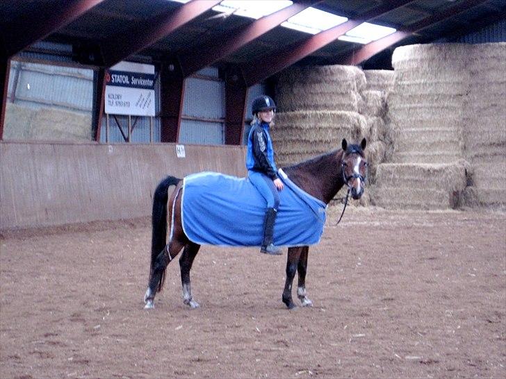 DSP Bæklunds Tabita billede 13