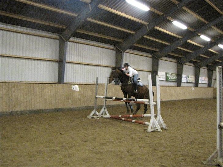 Anden særlig race KONGELUNDENS SMILLA billede 14