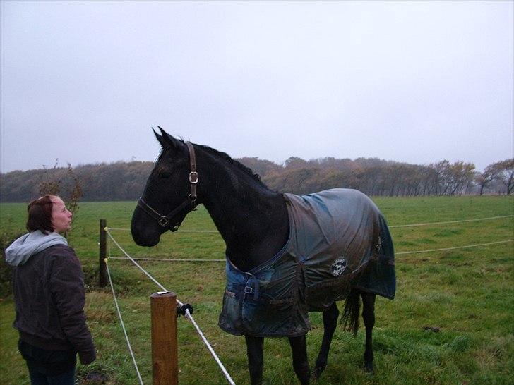 Anden særlig race Uzuri billede 4