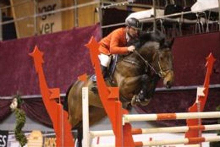 Dansk Varmblod Cubanas kilen - Her springer han med sin tidligere ejer Kristian skovrider (: billede 7