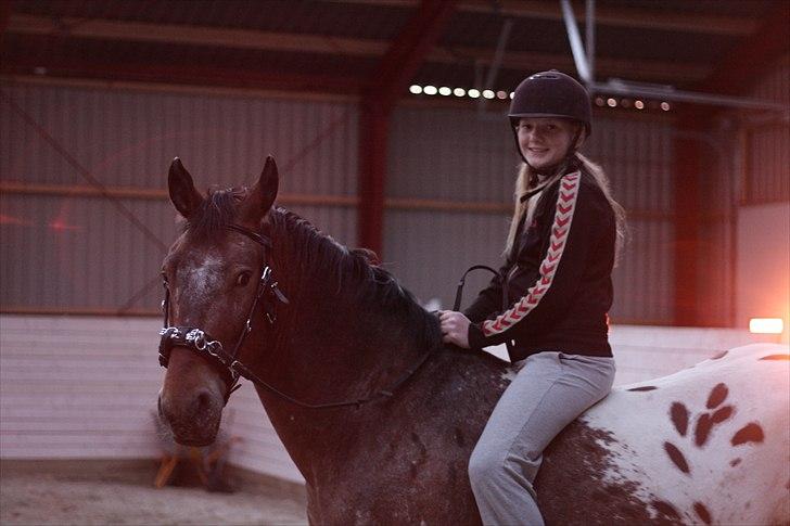 Anden særlig race Free Achak - Achak og min lillesøster, som hjælper med tilridningen billede 1