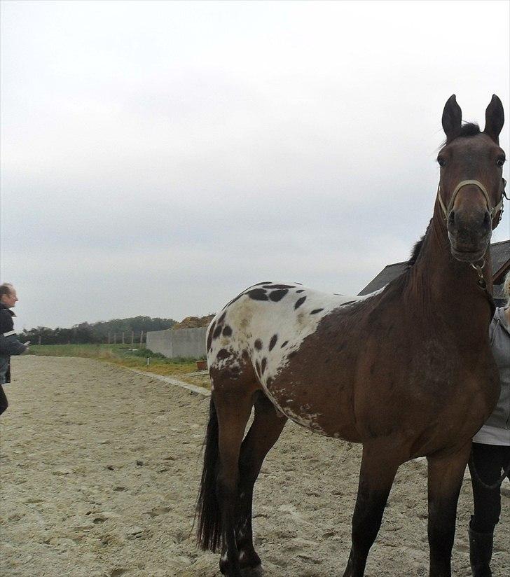 Anden særlig race Free Achak - Den første dag. - lige kommet ud af traileren billede 6