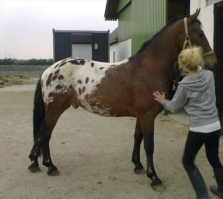 Anden særlig race Free Achak - Den første dag. - lige kommet ud af traileren billede 5