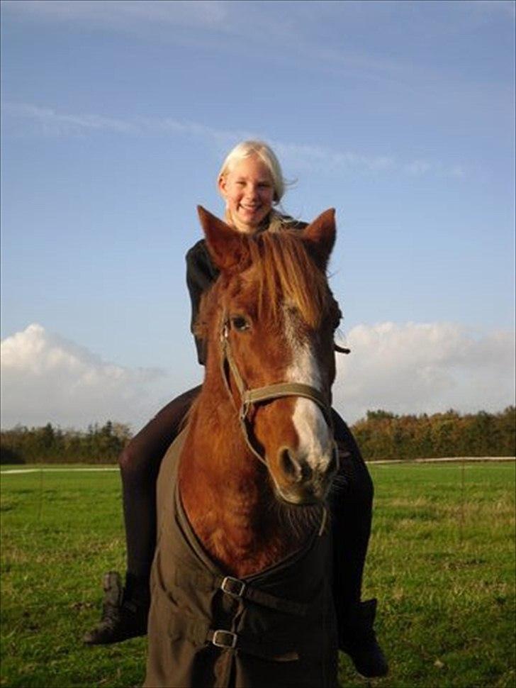 Anden særlig race  <3<3*Cille og Cathrine* (Stald solhøjgaard) <3 - Cille er bare så god sindet lige meget hvad man laver med hende billede 3