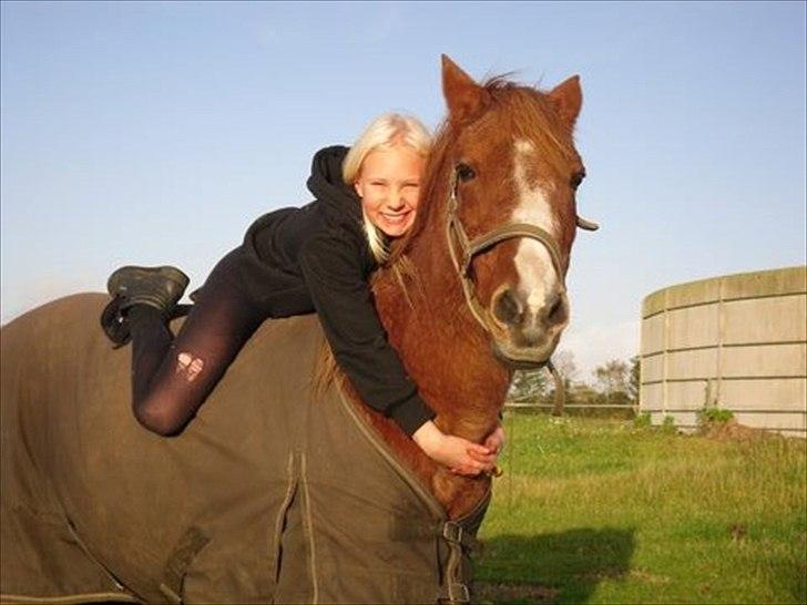 Anden særlig race  <3<3*Cille og Cathrine* (Stald solhøjgaard) <3 - Cille er den sødeste hest i verden og jeg elsker hende<33<<3 billede 4