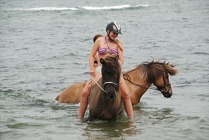 Islænder Sprettur från Magaretehof - Spret & Jeg ved stranden August 2010, lige da han var blevet min.  billede 18