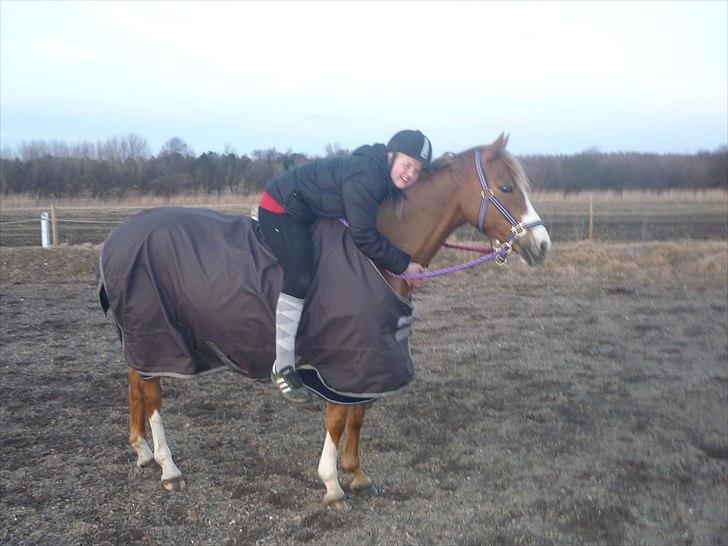 Welsh Pony (sec B) Turfhorst Pleasure<3! R.I.P min bedste ven!<3 - Billede 7: Mig og Pleasure hygger ude på ridebanen;)<3 (Vinter 2011) ;)<3!
- I nat sendte jeg en engel til at passe på dig mens du sov, men englen kom hurtigt tilbage. 
Den så ind i mine øjne og sagde, engle vogter ikke over andre engle!
<3 billede 7