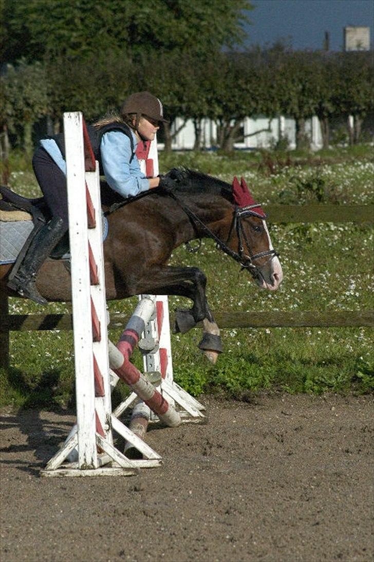 Anden særlig race - Angelina <3 - 15* smukke put i tre kombination :) billede 15