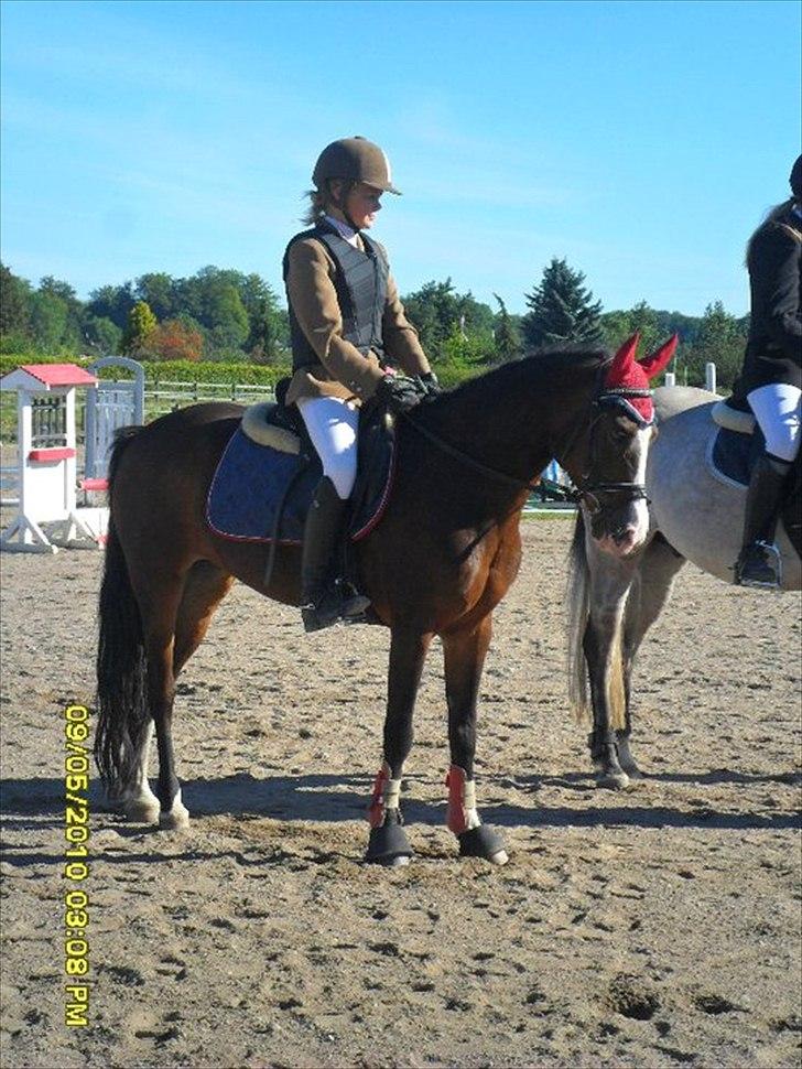 Anden særlig race - Angelina <3 - 19* vente vente :) Præmieoverrækkelse :) billede 19