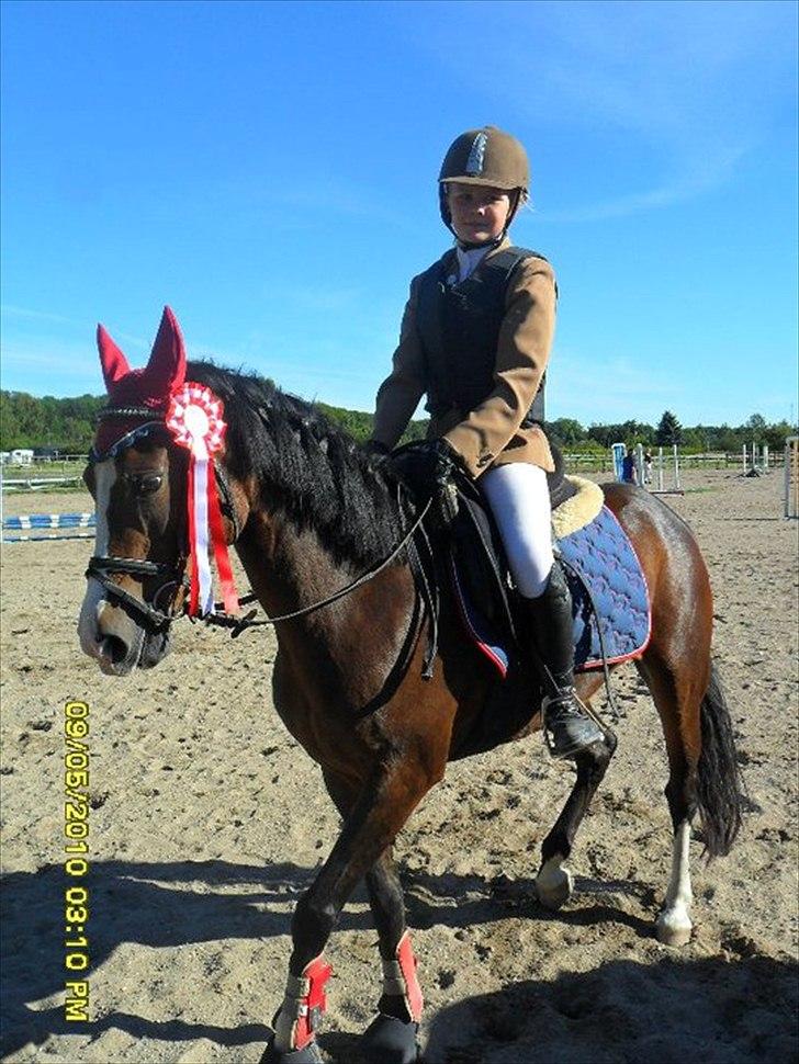 Anden særlig race - Angelina <3 - 20* min put er en vinderhorse!!! :D tak for kigget :) billede 20