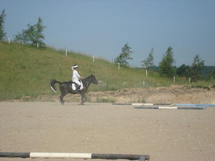 Anden særlig race BlackJack Er desvære i Heste Himlen - Ridelejr, sidste dag billede 9