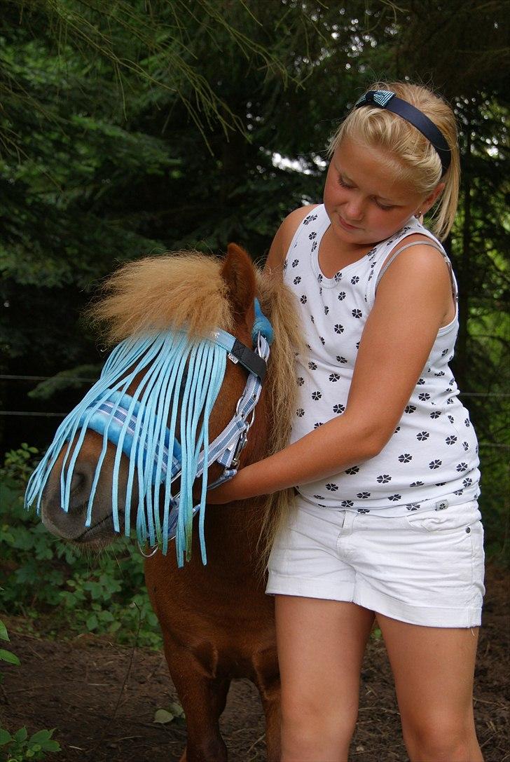 Anden særlig race Tarzan - © Foto-Moef billede 3