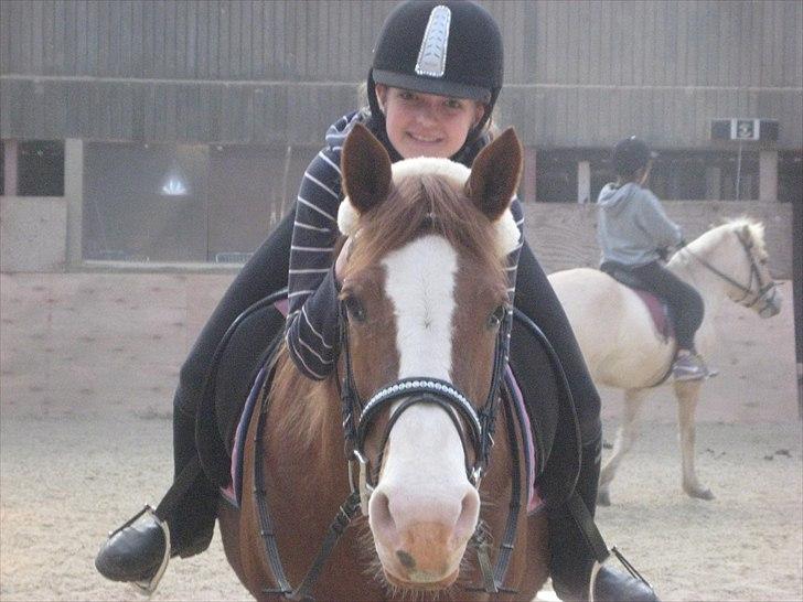 Anden særlig race Safi Rubin (SOLGT) billede 11