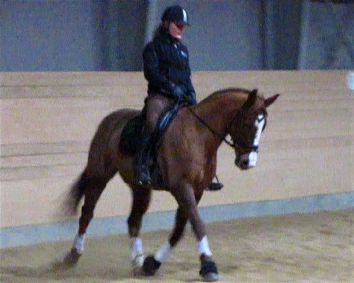 DSP Oscar - Dressur undervisning, 30 november billede 1