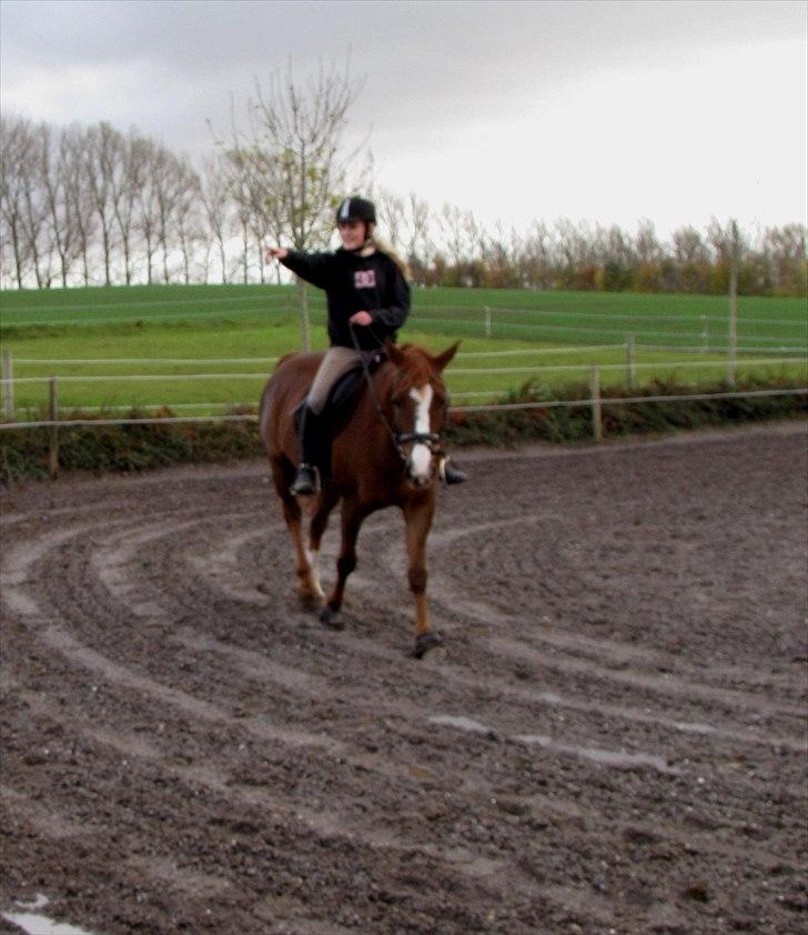 DSP Oscar - Ved ikke lige hvad jeg pejer efter :D ?  billede 4