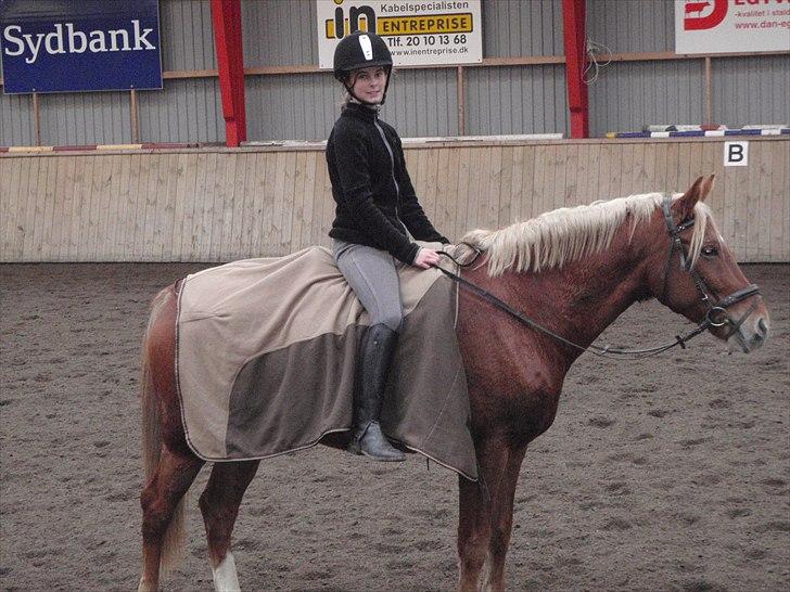 Anden særlig race Diablo (solgt)  - 2 gang jeg sidder på ham.. billede 7