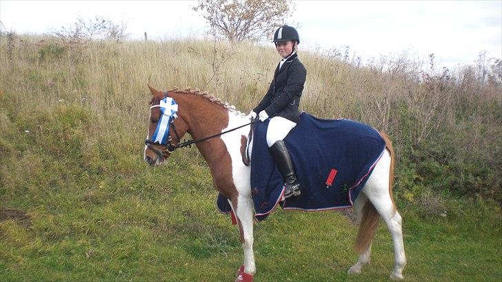 Anden særlig race Painted Beauty SOLGT - :*
 billede 12