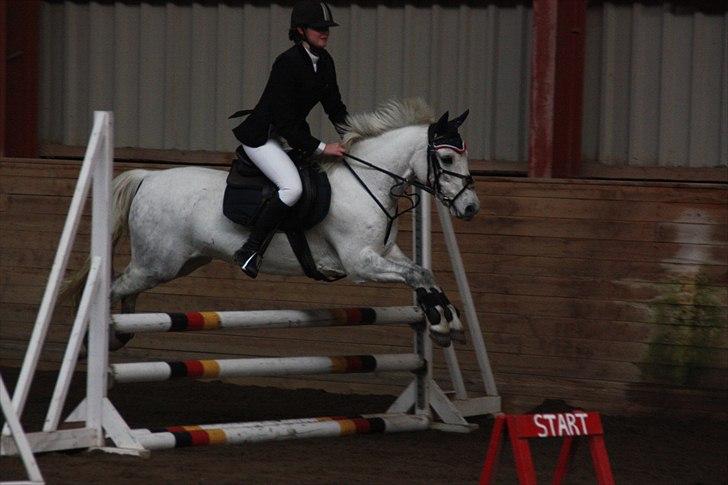 DSP Asgogårds Splint - Første spring stævne. I lc, med 0 fejl :´) billede 20