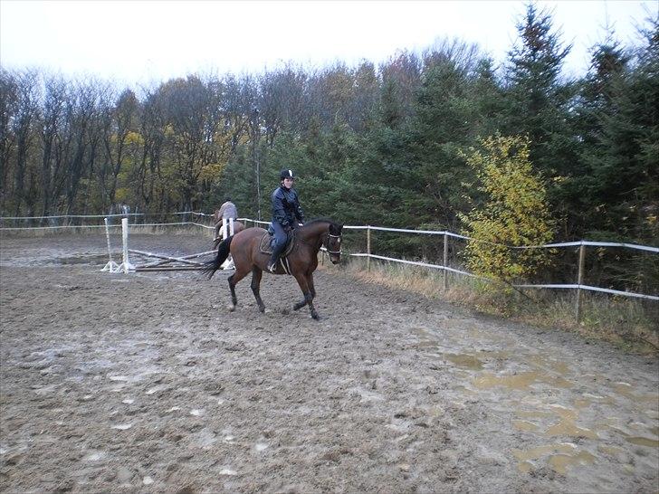 Dansk Varmblod Bakkebo´s Le´ Moni- Rip smukke limse ?? - limse min stjerne hest;o) billede 20