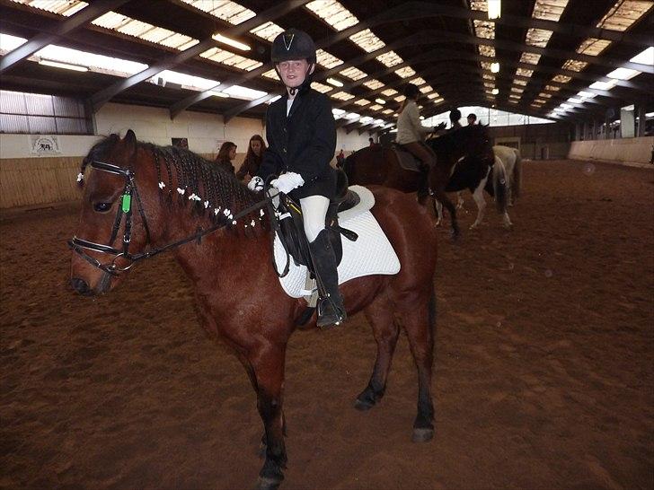 Anden særlig race Thanehøjs Mads - Mit første stævne på Mads. Jeg fik en 3 plads. :-) billede 11