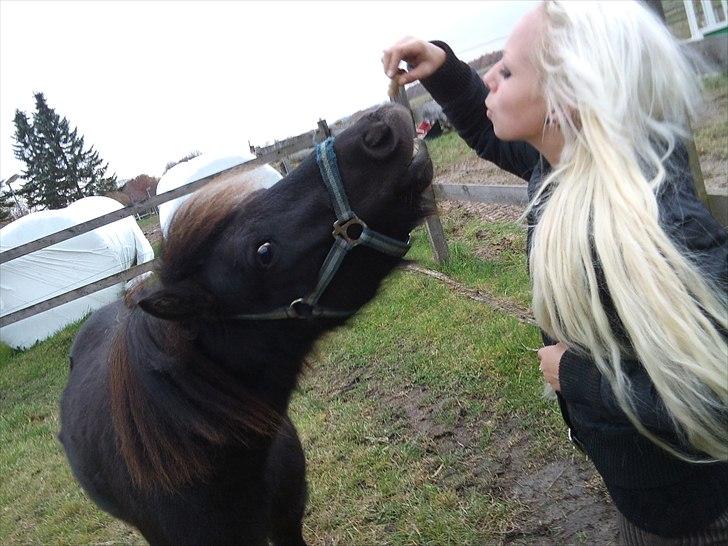 Anden særlig race Billund - Velkommen til Billunds profil <3 billede 1