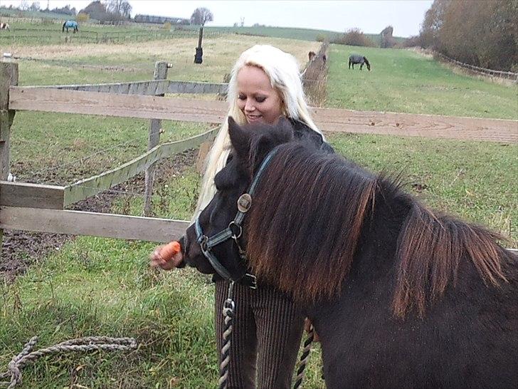 Anden særlig race Billund - ..Her er vi på vej ned på folden igen efter dages træning <3 Går og hyggespiser lidt gulerødder (; billede 2
