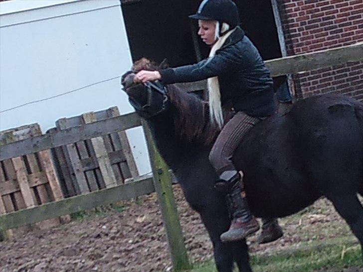 Anden særlig race Billund - Hygge mellem mig og min Lille Billund ´ Jeg elsker dig bette pony!! <3 billede 3