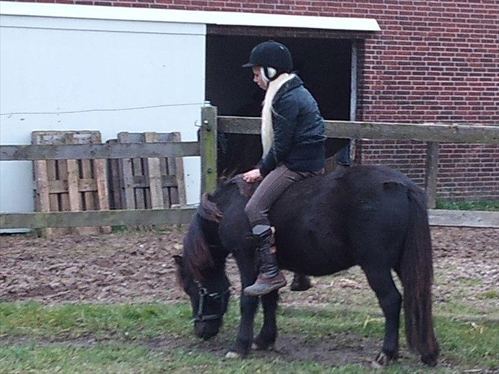 Anden særlig race Billund - Vi tager det stille og rolig (: han skal jo lige lærer det .. billede 4