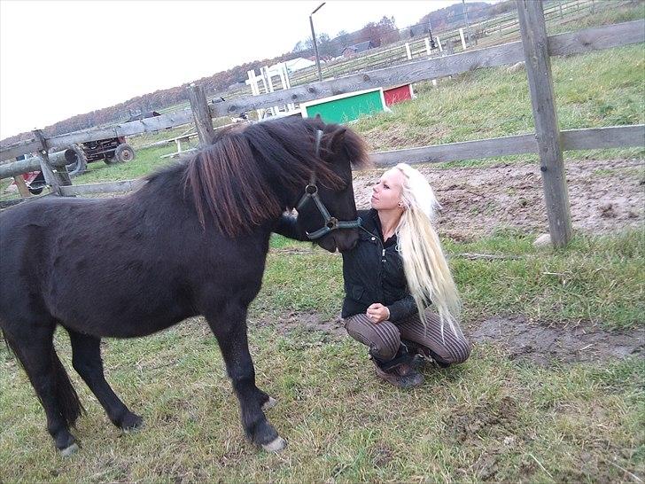 Anden særlig race Billund - Lille Dreng <3 billede 7