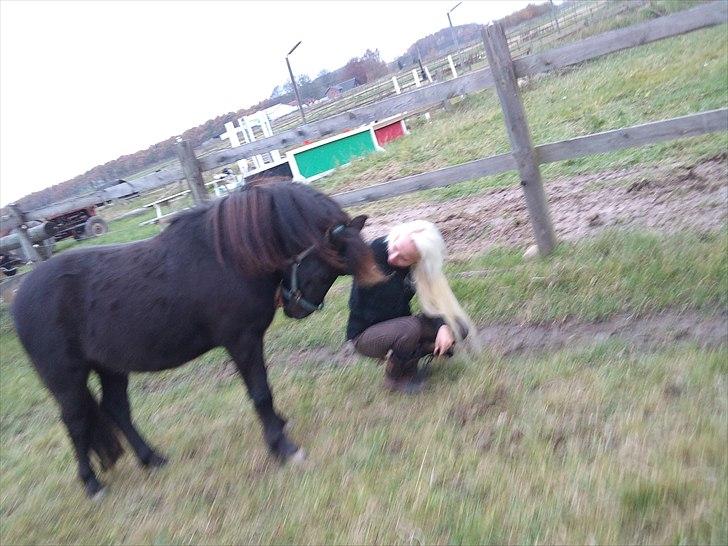 Anden særlig race Billund - Ihh Han er fin , vi kunne lave nogle små triks <3 billede 8