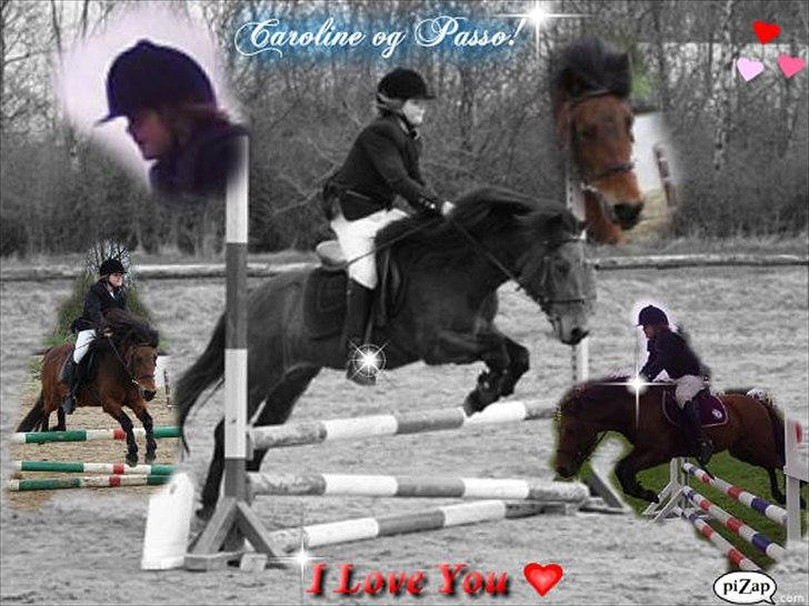 Anden særlig race Passo<3 i; billede 14