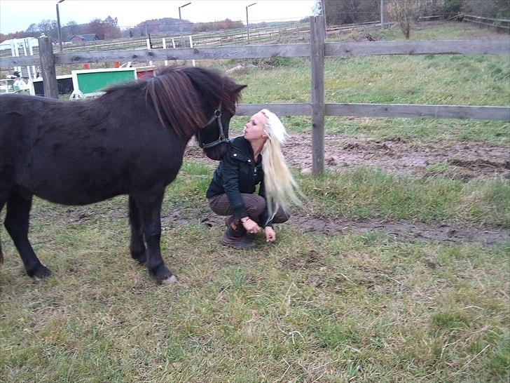 Anden særlig race Billund - Dejlige pony <3 du er perfekt <3 billede 9