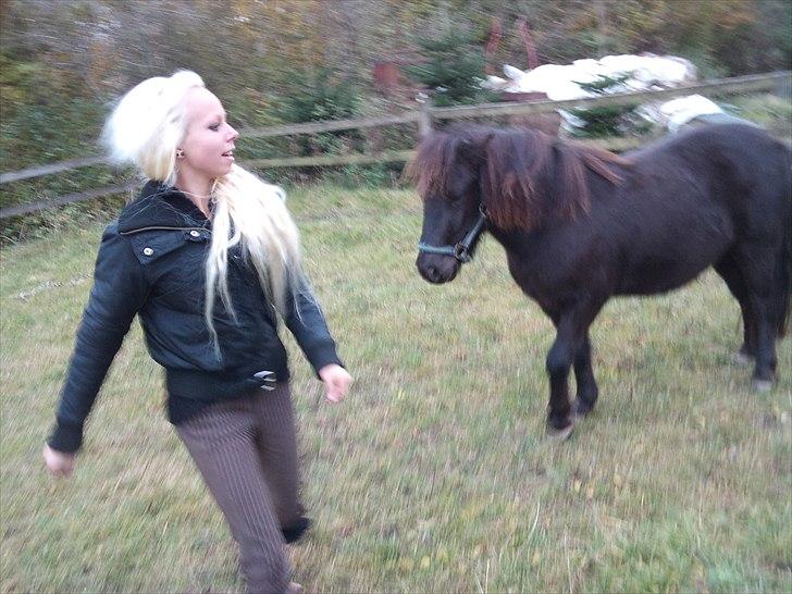 Anden særlig race Billund - Prøvede få ham til at trave med mig , men det gik kun i longe, når det så lykkeds for os altså (; men han er bare SÅÅ dygtig <3 billede 11