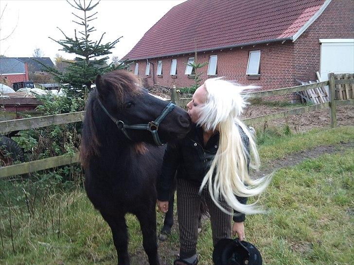 Anden særlig race Billund - ..Jaa (: Jeg får ALTID mysser af ham (: plejer at omme hjem med mudder flere steder i hoved (;  billede 13