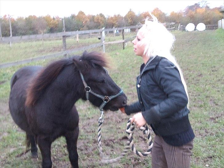Anden særlig race Billund - ..På vej ned til folden (: billede 16
