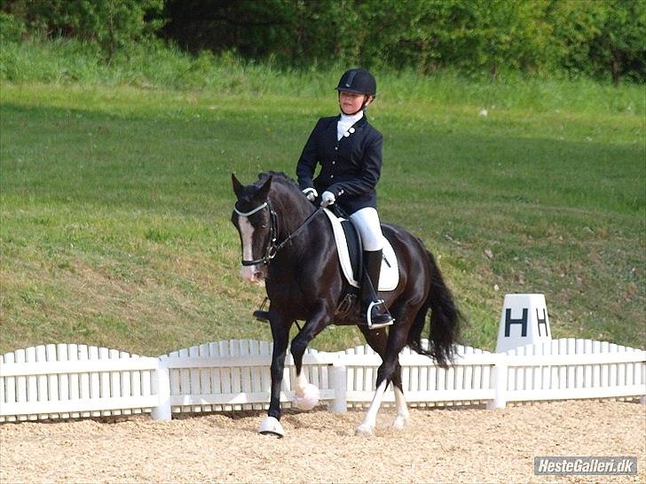Anden særlig race Blue Eye´D Girl - A pony SOLGT! - 13. Blueeyed og mig til stævne i ohr foto: Annika Løvmose Holm billede 13