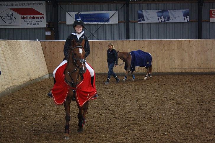 Hollandsk Sportspony Daisy - på opvarmingsbanen til stevnet på HDR billede 16