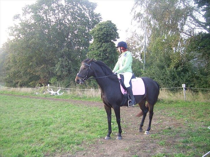 Anden særlig race My  - Her er den flotte My  billede 1