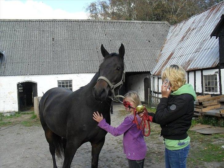 Anden særlig race My  - Første dag hjemme :) hun tager det rigtig flot My  billede 2