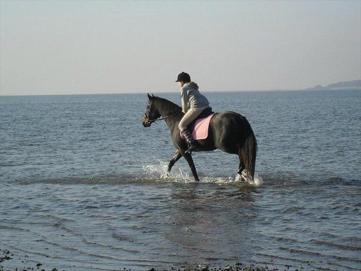 Anden særlig race My  - ja en tur i vandet er dejligt :)  billede 3