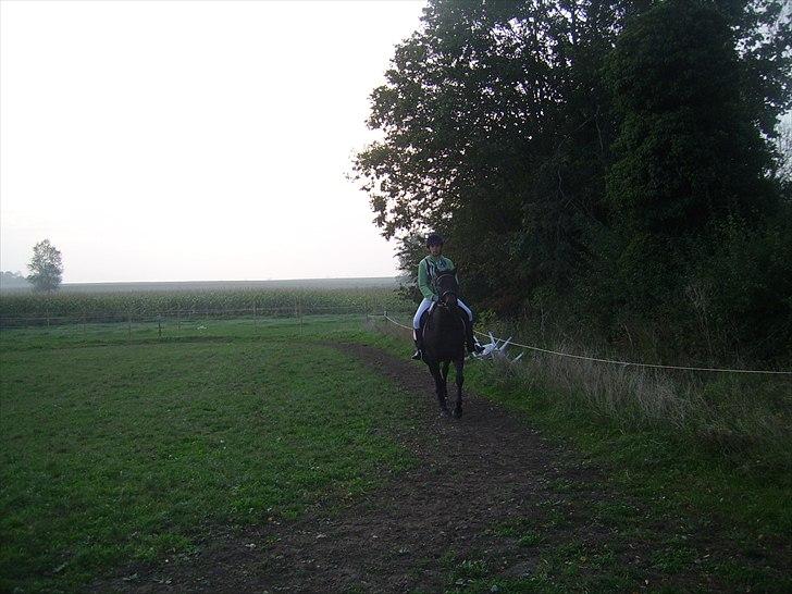 Anden særlig race My  - en hygge tur på my  billede 4