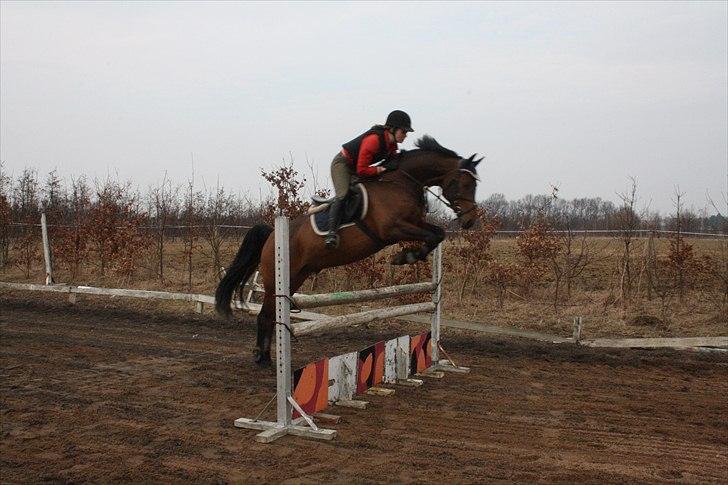 Holstener Mon Coeur (Monceur) *RIP* - Første springtur hjemme d. 13/3-11 billede 2