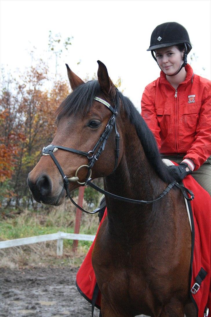 Holstener Mon Coeur (Monceur) *RIP* billede 11