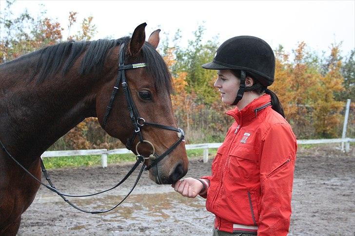 Holstener Mon Coeur (Monceur) *RIP* billede 13