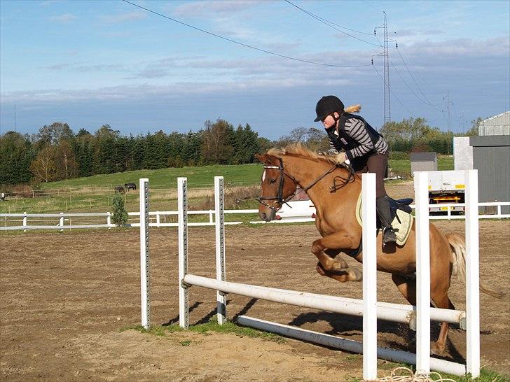 Anden særlig race Calibro:) - nu HOPPER vi billede 13