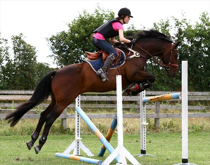 Oldenborg Prins Hamlet 387 † R.I.P † - ØSR, Springtræning hos wesley. Her springer vi 120 cm. 03-08-2010 © Foto: Camilla Rosenlund/CR-FOTO billede 13