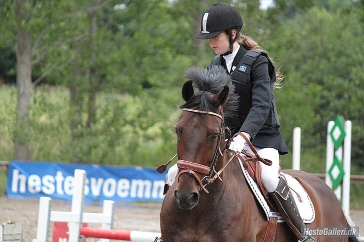 Oldenborg Prins Hamlet 387 † R.I.P † - BAR, hovedebillede i LD-90cm. 30-06-2010 © Foto: Jose  billede 18